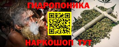 крисы Канаш
