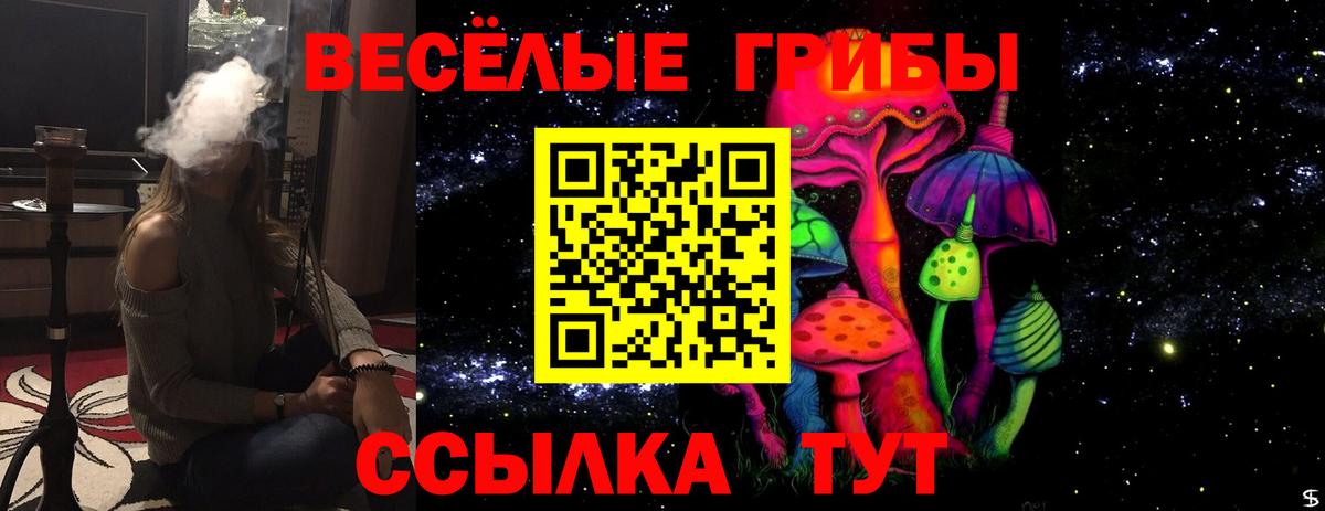 Ефремов  Псилоцибиновые грибы Cubensis  что такое наркотик  Вход с VPN  Галлюциногенные грибы Magic Shrooms 
